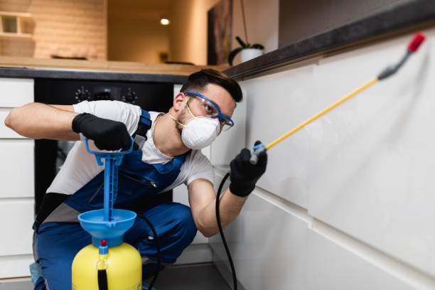 Trusted Irvine, CA Pest Control Experts