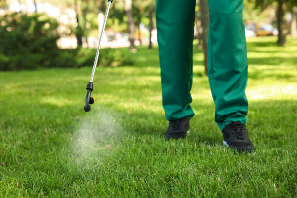 Best Termite Control Services  in Irvine, CA